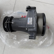 Водяной насос двигателя для Lonking, Weichai-Power WD615, 612600060307