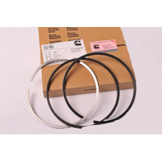 Комплект поршневых колец Cummins M11, 3803977